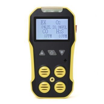 BH-4A Portable Multi Gas Detector