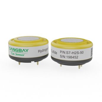 Hydrogen Sulfide Gas Sensor