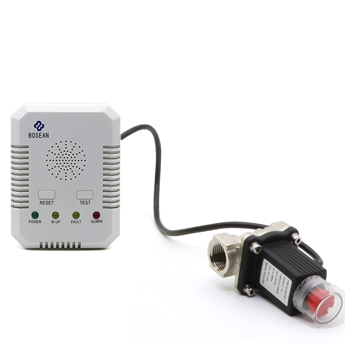 BH-H3 Gas Alarm
