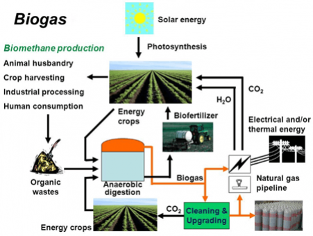 Portable Biogas Detector