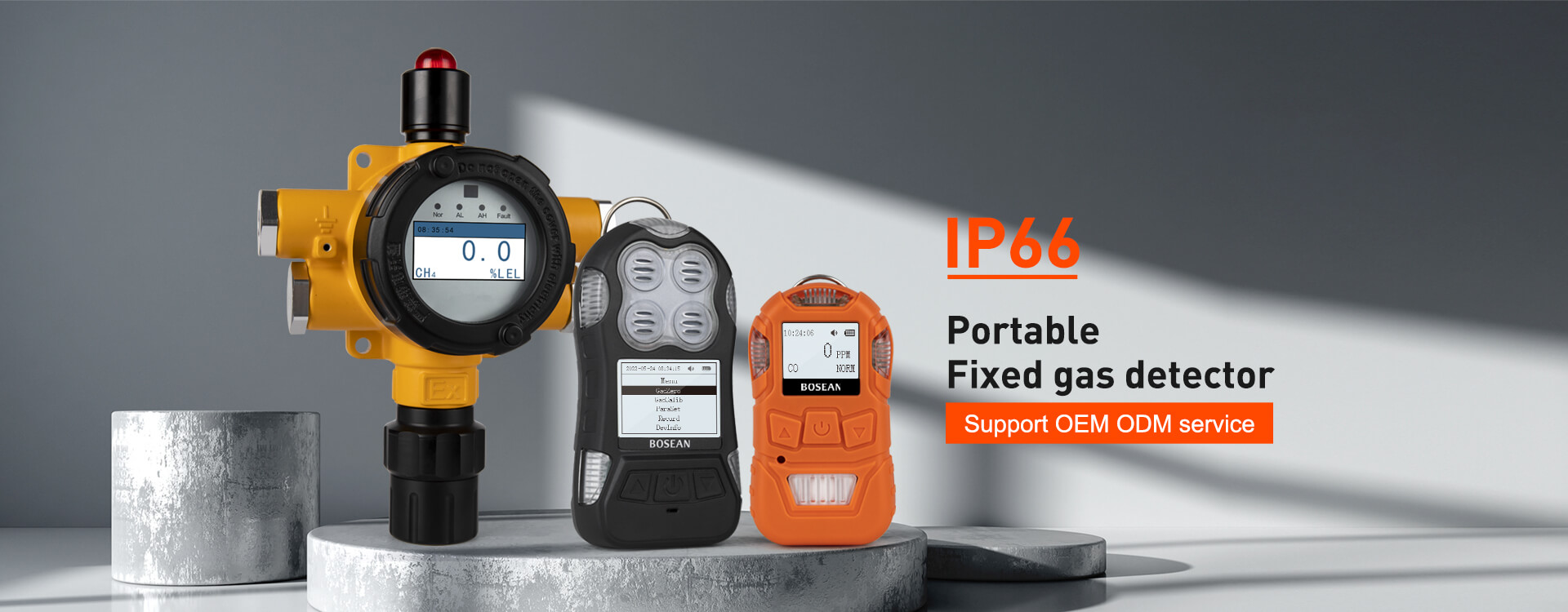 IP66 portable & fixed gas detector