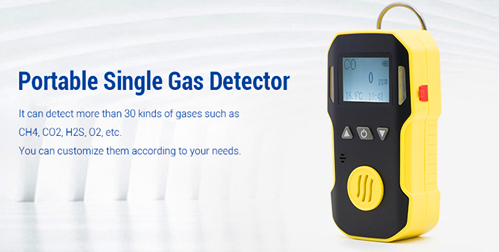 H2S Gas Detector